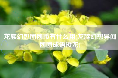 龙族幻想团团币有什么用(龙族幻想异闻团团成语接龙)