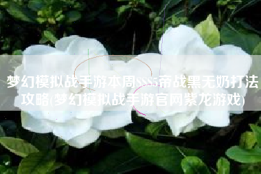 梦幻模拟战手游本周SSS5帝战黑无奶打法攻略(梦幻模拟战手游官网紫龙游戏)