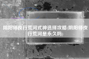 阴阳师夜行荒河式神选择攻略(阴阳师夜行荒河是永久吗)