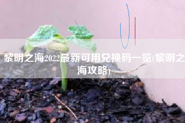 黎明之海2022最新可用兑换码一览(黎明之海攻略)