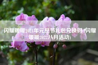 闪耀暖暖2021年元旦节礼包兑换码 (闪耀暖暖2022八月活动)