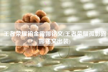 王者荣耀铂金露娜铭文(王者荣耀孤影露娜铭文出装)