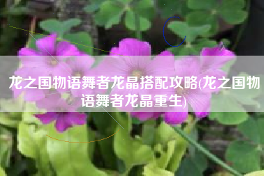 龙之国物语舞者龙晶搭配攻略(龙之国物语舞者龙晶重生)