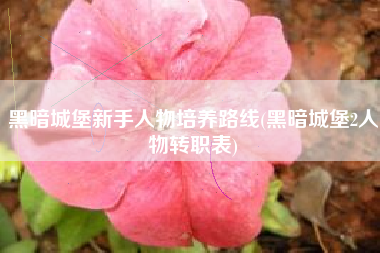 黑暗城堡新手人物培养路线(黑暗城堡2人物转职表)