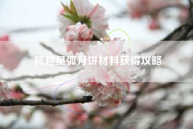 跨越星弧月饼材料获得攻略