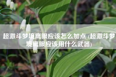 超激斗梦境鹰眼应该怎么加点 (超激斗梦境鹰眼应该用什么武器)