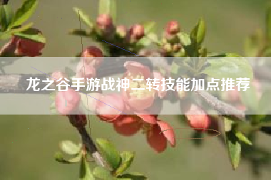 龙之谷手游战神二转技能加点推荐