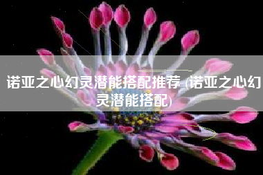 诺亚之心幻灵潜能搭配推荐 (诺亚之心幻灵潜能搭配)