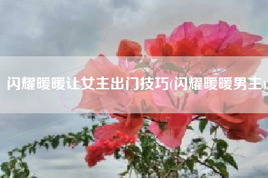 闪耀暖暖让女主出门技巧(闪耀暖暖男主)