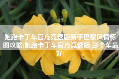 跑跑卡丁车官方竞速版新手巴黎风情练图攻略(跑跑卡丁车官方竞速版 哪个车最好)