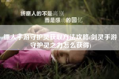 镖人手游守护灵获取方法攻略(剑灵手游守护灵之力怎么获得)