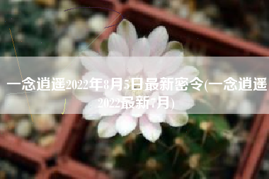 一念逍遥2022年8月5日最新密令(一念逍遥2022最新7月)