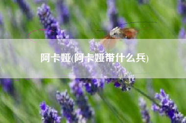 阿卡娅(阿卡娅带什么兵)