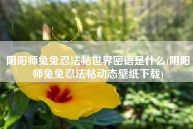 阴阳师兔兔忍法帖世界密语是什么(阴阳师兔兔忍法帖动态壁纸下载)