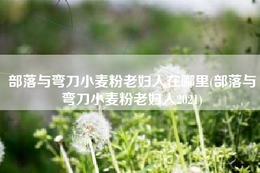 部落与弯刀小麦粉老妇人在哪里(部落与弯刀小麦粉老妇人2021)