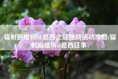 辐射避难所OL昆西之证挑战活动攻略(辐射避难所ol昆西往事)