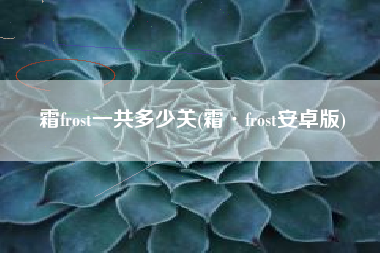 霜frost一共多少关(霜·frost安卓版)