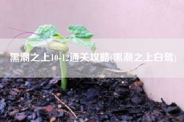 黑潮之上10-12通关攻略(黑潮之上白鹭)