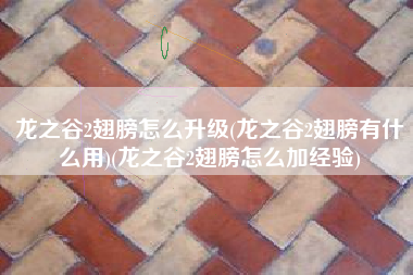 龙之谷2翅膀怎么升级(龙之谷2翅膀有什么用)(龙之谷2翅膀怎么加经验)