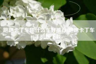 跑跑卡丁车用什么车好推荐(跑跑卡丁车手机版下载)