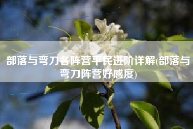 部落与弯刀各阵营平民进阶详解(部落与弯刀阵营好感度)
