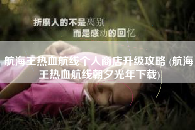 航海王热血航线个人商店升级攻略 (航海王热血航线朝夕光年下载)