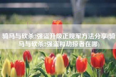 骑马与砍杀2强盗升级正规军方法分享(骑马与砍杀2强盗和劫掠者在哪)