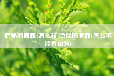 隐秘的原罪1怎么玩(隐秘的原罪1怎么不能看视频)