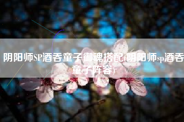 阴阳师SP酒吞童子御魂搭配(阴阳师sp酒吞童子阵容)
