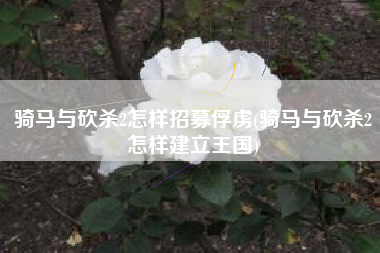 骑马与砍杀2怎样招募俘虏(骑马与砍杀2怎样建立王国)