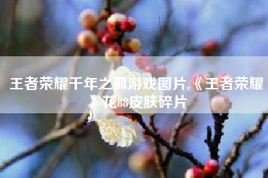 王者荣耀千年之狐游戏图片,《王者荣耀》花88皮肤碎片