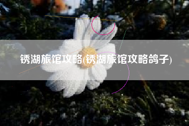 锈湖旅馆攻略(锈湖旅馆攻略鸽子)