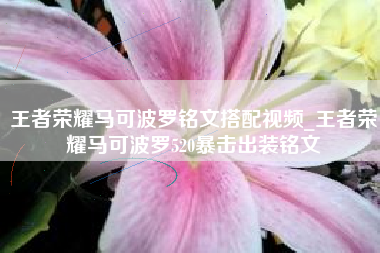 王者荣耀马可波罗铭文搭配视频_王者荣耀马可波罗520暴击出装铭文