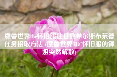 魔兽世界tbc怀旧服往日的希尔斯布莱德任务接取方法 (魔兽世界TBC怀旧服的御姐突然解散)