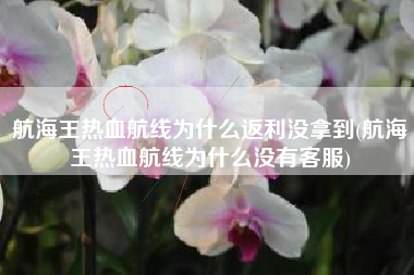 航海王热血航线为什么返利没拿到(航海王热血航线为什么没有客服)