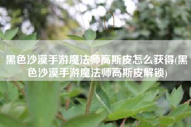 黑色沙漠手游魔法师高斯皮怎么获得(黑色沙漠手游魔法师高斯皮解锁)