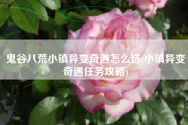 鬼谷八荒小镇异变奇遇怎么选(小镇异变奇遇任务攻略)