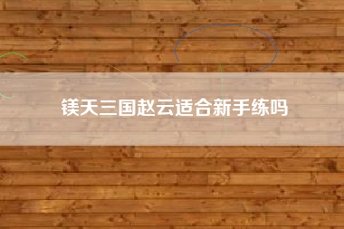 镁天三国赵云适合新手练吗