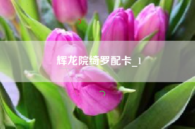 辉龙院绮罗配卡_1