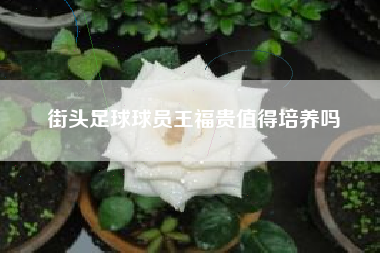 街头足球球员王福贵值得培养吗
