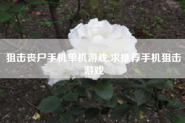 狙击丧尸手机单机游戏,求推荐手机狙击游戏
