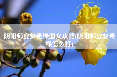 阴阳师安梦奇缘图文攻略(阴阳师安梦奇缘怎么打)