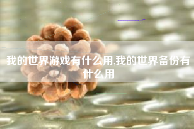 我的世界游戏有什么用,我的世界备份有什么用