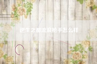 逆生之都流浪枪手怎么样