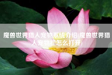 魔兽世界猎人宠物系统介绍(魔兽世界猎人宠物栏怎么打开)