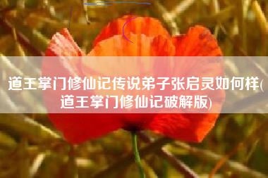道王掌门修仙记传说弟子张启灵如何样(道王掌门修仙记破解版)
