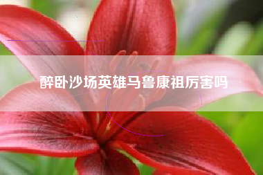 醉卧沙场英雄马鲁康祖厉害吗