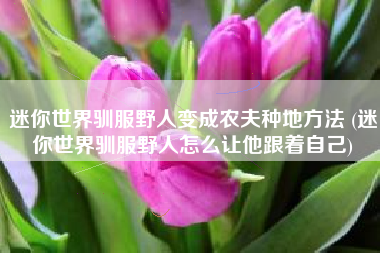 迷你世界驯服野人变成农夫种地方法 (迷你世界驯服野人怎么让他跟着自己)