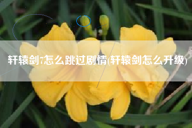 轩辕剑7怎么跳过剧情(轩辕剑怎么升级)