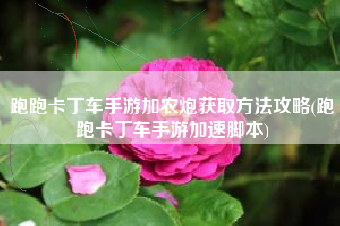 跑跑卡丁车手游加农炮获取方法攻略(跑跑卡丁车手游加速脚本)